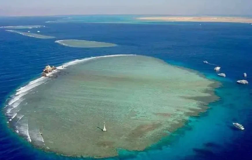 Boat trip& white island